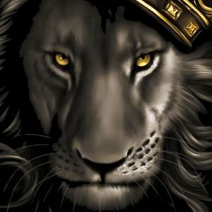 Meet your Posher, Daryl